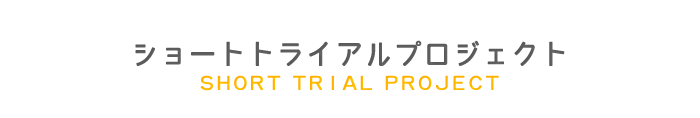 ショートトライアルプロジェクト（2011年～2016年）